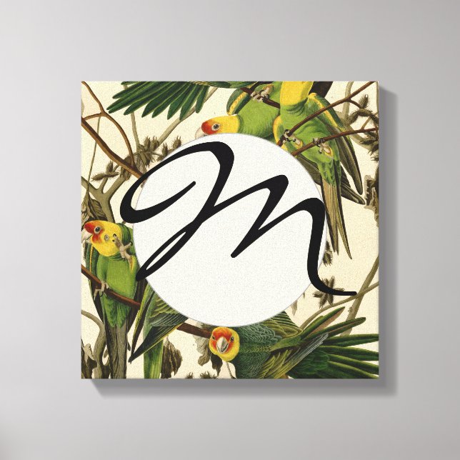 Audubon Carolina Parrot Bird illustration Canvas Print (Front)