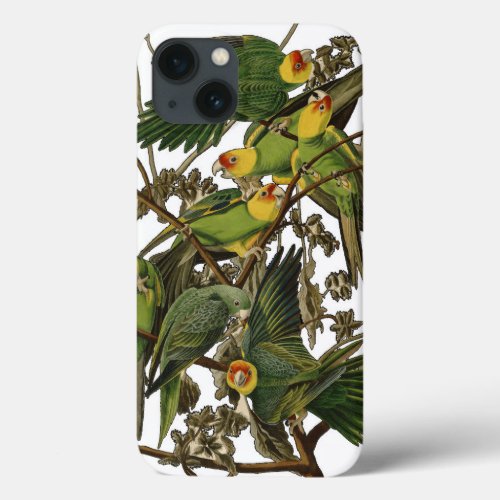 Audubon Carolina Parrot Bird illustration iPhone 13 Case