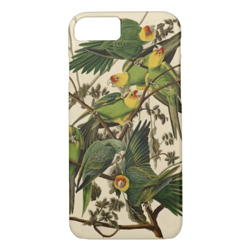 Audubon Carolina Parrot Bird illustration iPhone 87 Case