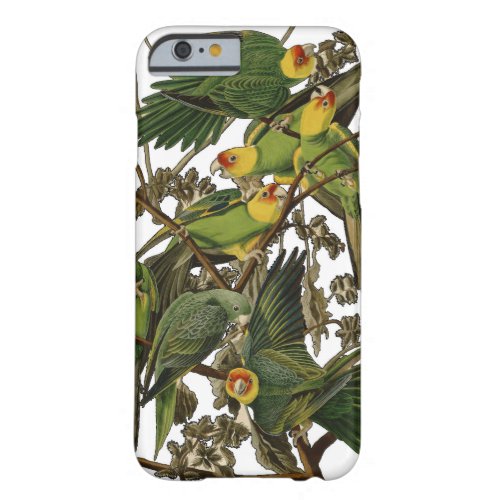 Audubon Carolina Parrot Bird illustration Barely There iPhone 6 Case