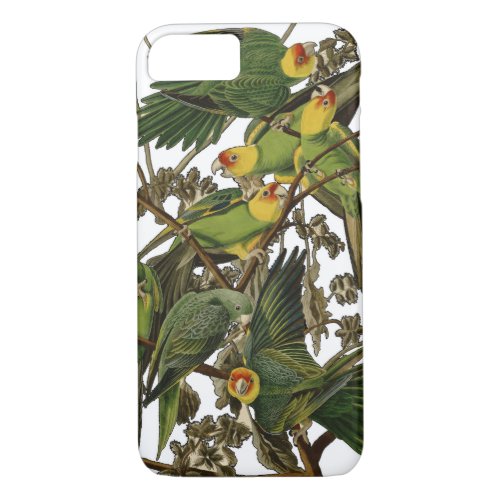 Audubon Carolina Parrot Bird illustration iPhone 87 Case