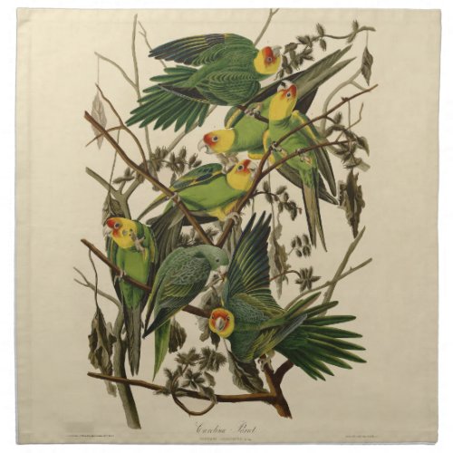 Audubon Carolina Parrot Bird illustration Cloth Napkin