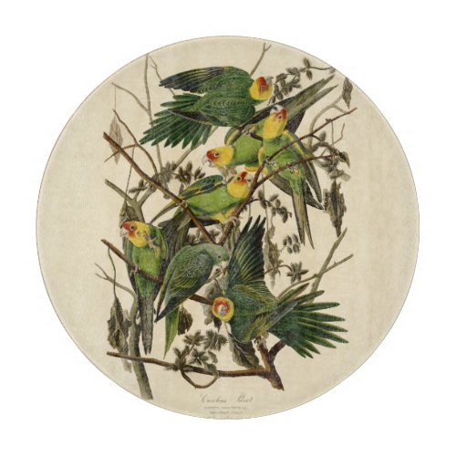 Audubon Carolina Parrot Bird illustration Cutting Board