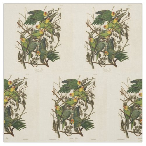 Audubon Carolina Parrot Bird illustration Fabric