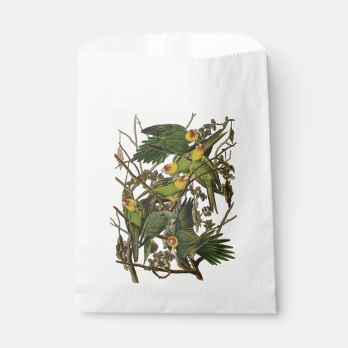 Audubon Carolina Parrot Bird illustration Favor Bag