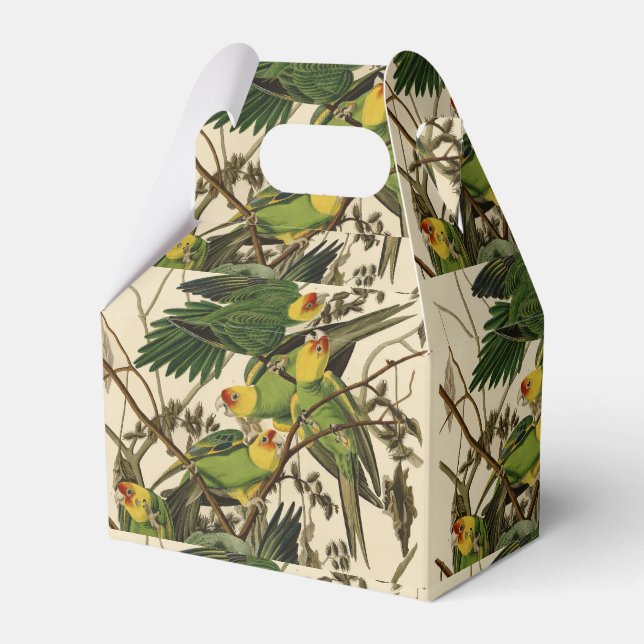 Audubon Carolina Parrot Bird illustration Favor Boxes (Front Side)
