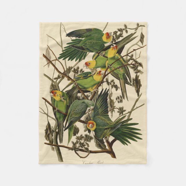 Audubon Carolina Parrot Bird illustration Fleece Blanket (Front)