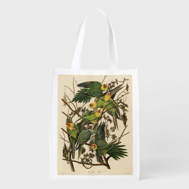 Audubon Carolina Parrot Bird illustration Grocery Bag (Back)