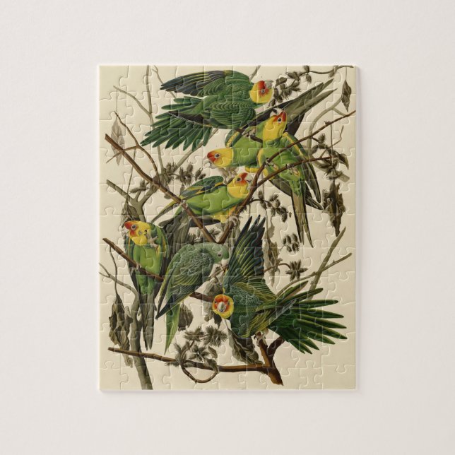 Audubon Carolina Parrot Bird illustration Jigsaw Puzzle (Vertical)
