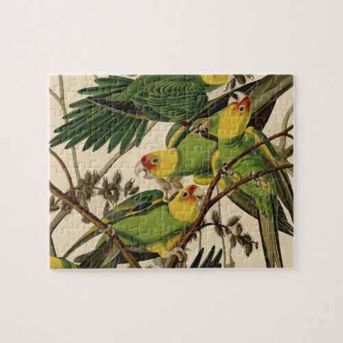 Audubon Carolina Parrot Bird illustration Jigsaw Puzzle