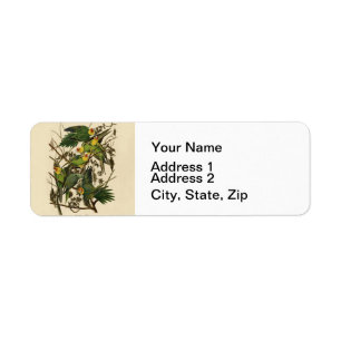 Audubon Carolina Parrot Bird illustration Label