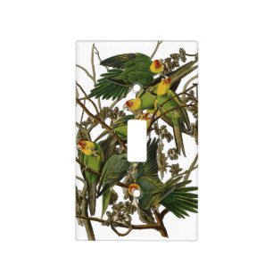Audubon Carolina Parrot Bird illustration Light Switch Cover