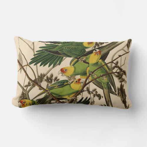 Audubon Carolina Parrot Bird illustration Lumbar Pillow