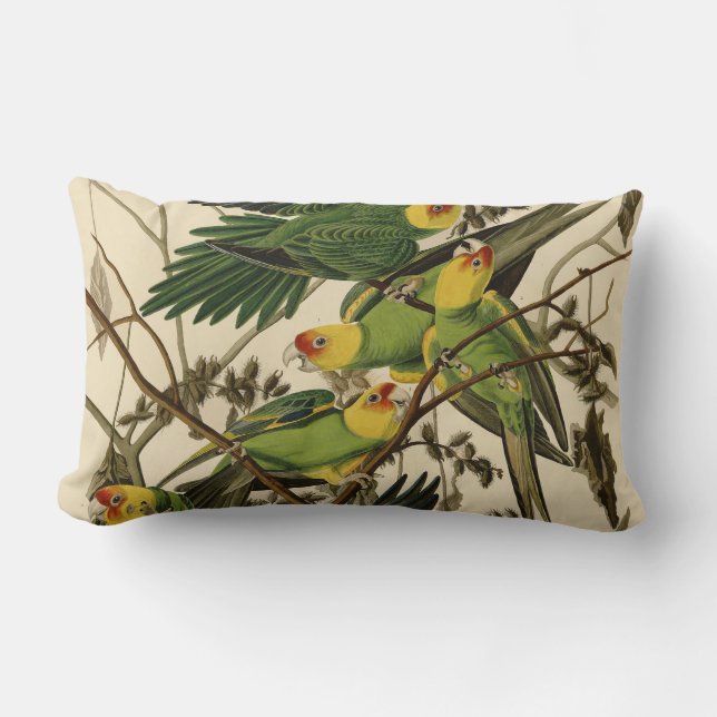 Audubon Carolina Parrot Bird illustration Lumbar Pillow (Front)