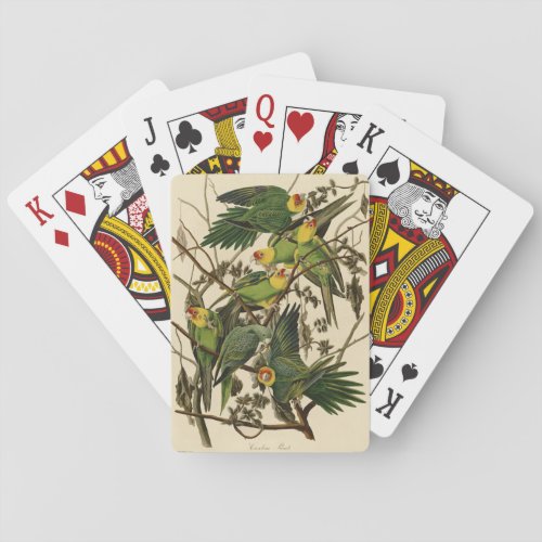 Audubon Carolina Parrot Bird illustration Poker Cards