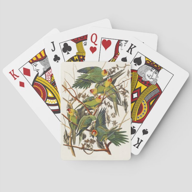 Audubon Carolina Parrot Bird illustration Poker Cards (Back)
