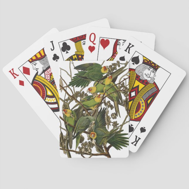 Audubon Carolina Parrot Bird illustration Poker Cards (Back)