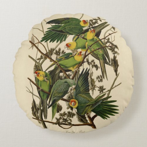 Audubon Carolina Parrot Bird illustration Round Pillow