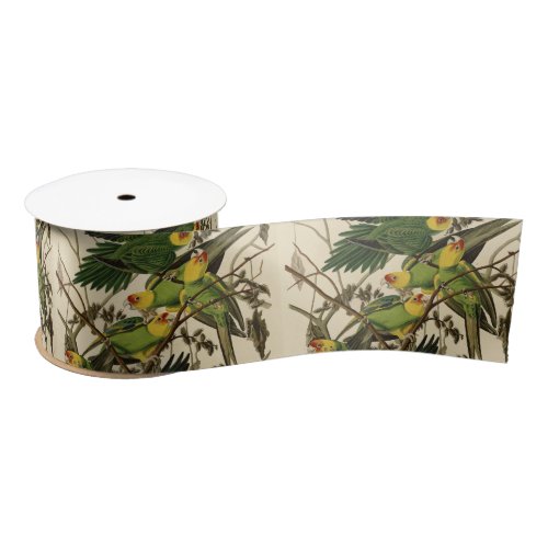 Audubon Carolina Parrot Bird illustration Satin Ribbon