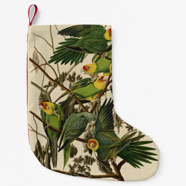 Audubon Carolina Parrot Bird illustration Small Christmas Stocking (Front)