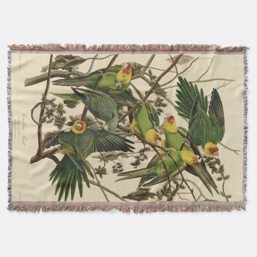 Audubon Carolina Parrot Bird illustration Throw Blanket