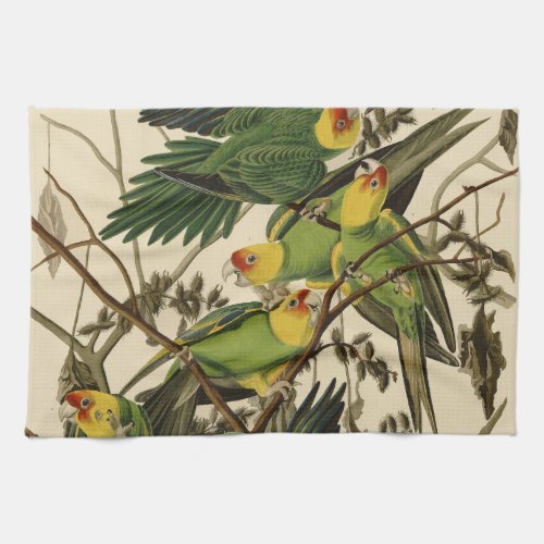 Audubon Carolina Parrot Bird illustration Towel