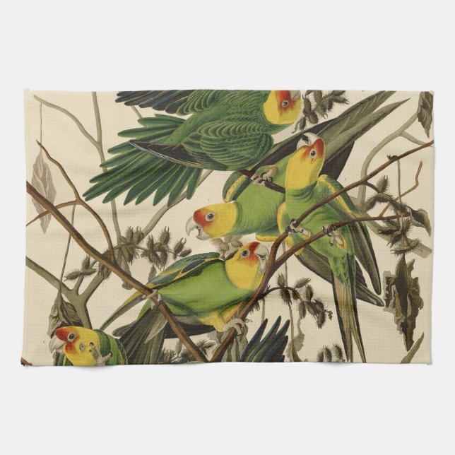 Audubon Carolina Parrot Bird illustration Towel (Horizontal)