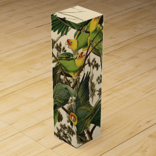 Audubon Carolina Parrot Bird illustration Wine Gift Box