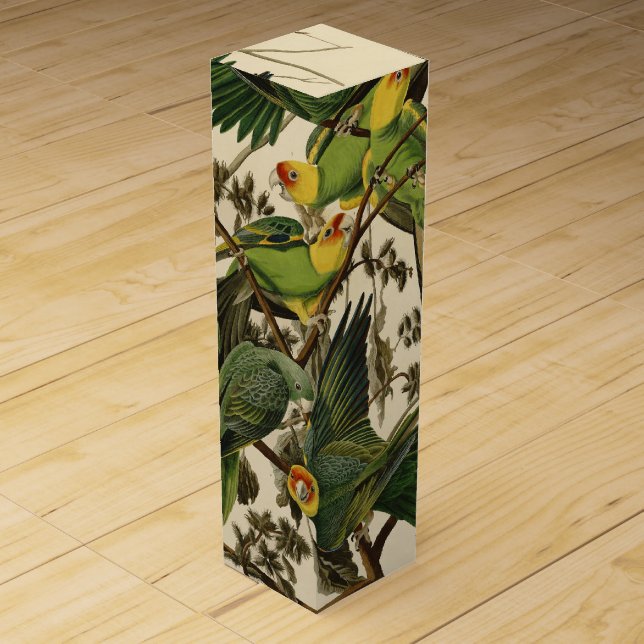 Audubon Carolina Parrot Bird illustration Wine Gift Box (Front)