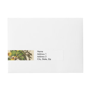 Audubon Carolina Parrot Bird illustration Wrap Around Address Label