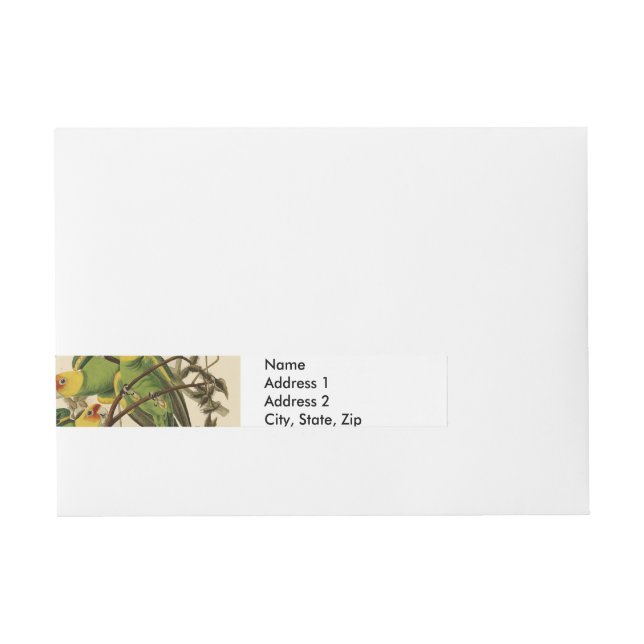 Audubon Carolina Parrot Bird illustration Wrap Around Address Label (Front)
