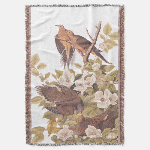 Audubon Carolina Turtle Dove Throw Blanket