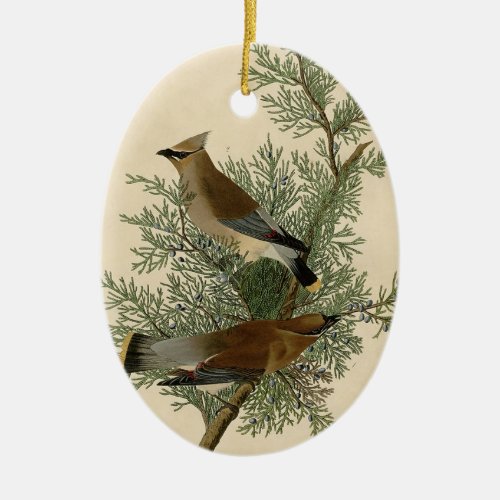 Audubon Cedar Waxwing Bird Ceramic Ornament