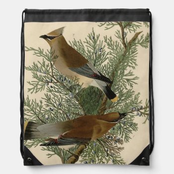 Audubon Cedar Waxwing Bird Drawstring Bag by antiqueart at Zazzle