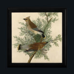 Audubon Cedar Waxwing Bird Gift Box<br><div class="desc">Audubon's Cedar Bird, more commonly known as the Cedar Waxwing today, was painted for Birds of America by John James Audubon between 1827 - 1838. This was Plate 43 of the series of birds painted by Audubon. The Cedar Waxwing is a medium-sized bird, marked by brown and gray, and tipped...</div>