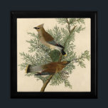 Audubon Cedar Waxwing Bird Gift Box<br><div class="desc">Audubon's Cedar Bird, more commonly known as the Cedar Waxwing today, was painted for Birds of America by John James Audubon between 1827 - 1838. This was Plate 43 of the series of birds painted by Audubon. The Cedar Waxwing is a medium-sized bird, marked by brown and gray, and tipped...</div>