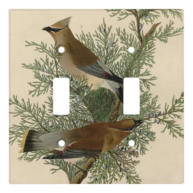 Audubon Cedar Waxwing Bird Light Switch Cover (Front)