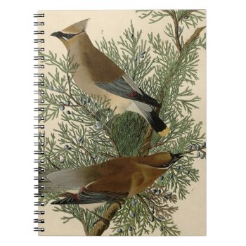 Audubon Cedar Waxwing Bird Notebook by antiqueart at Zazzle