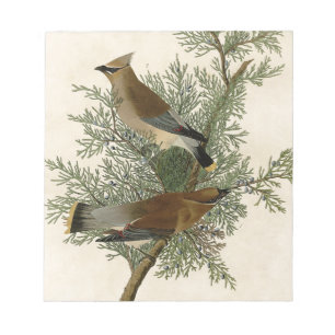 Audubon Cedar Waxwing Bird Notepad