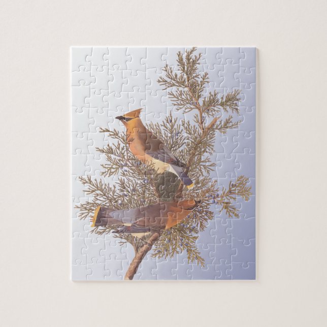 Audubon Cedar Waxwing Bird on Evergreen Juniper Jigsaw Puzzle (Vertical)