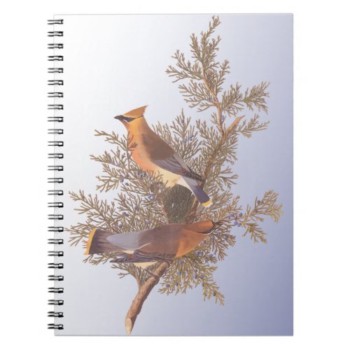Audubon Cedar Waxwing Bird on Evergreen Juniper Notebook