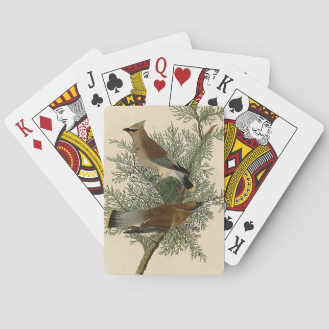 Audubon Cedar Waxwing Bird Poker Cards (Back)
