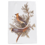 Audubon Cedar Waxwing Songbirds in Juniper Medium Gift Bag