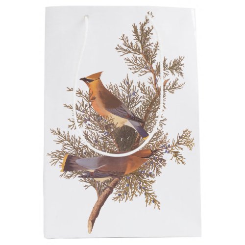 Audubon Cedar Waxwing Songbirds in Juniper Medium Gift Bag