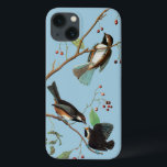 Audubon: Chickadee iPhone 13 Case<br><div class="desc">Boreal chickadee (Parus hudsonicus),  from John James Audubon's 'The Birds of America, ' 1827-1838. | ID:0007642</div>