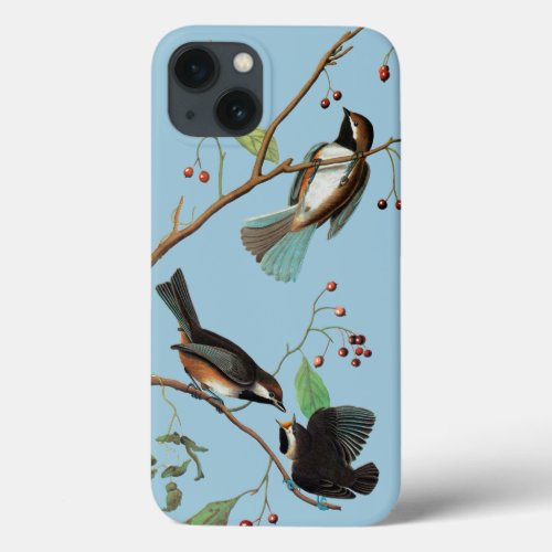 Audubon Chickadee iPhone 13 Case