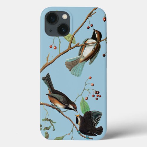 Audubon Chickadee iPhone 13 Case