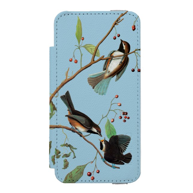 Audubon: Chickadee Incipio iPhone Wallet Case (Folio Front)