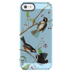 Audubon: Chickadee Clear iPhone SE/5/5s Case