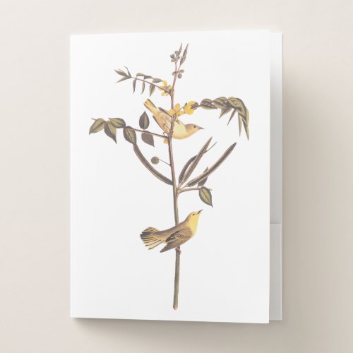 Audubon Childrens Warbler Songbird Pocket Folder